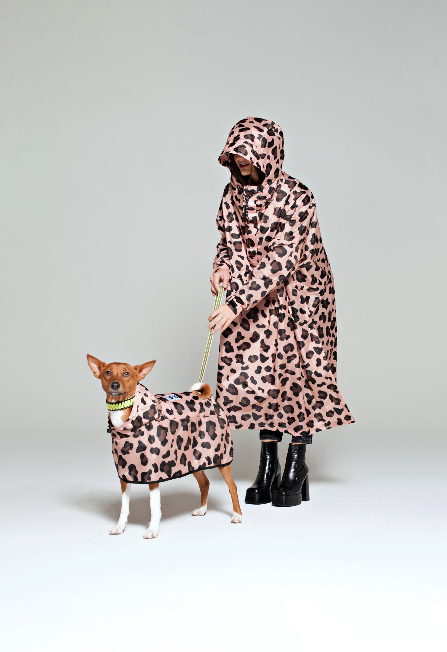 Pink Panther - for dogs