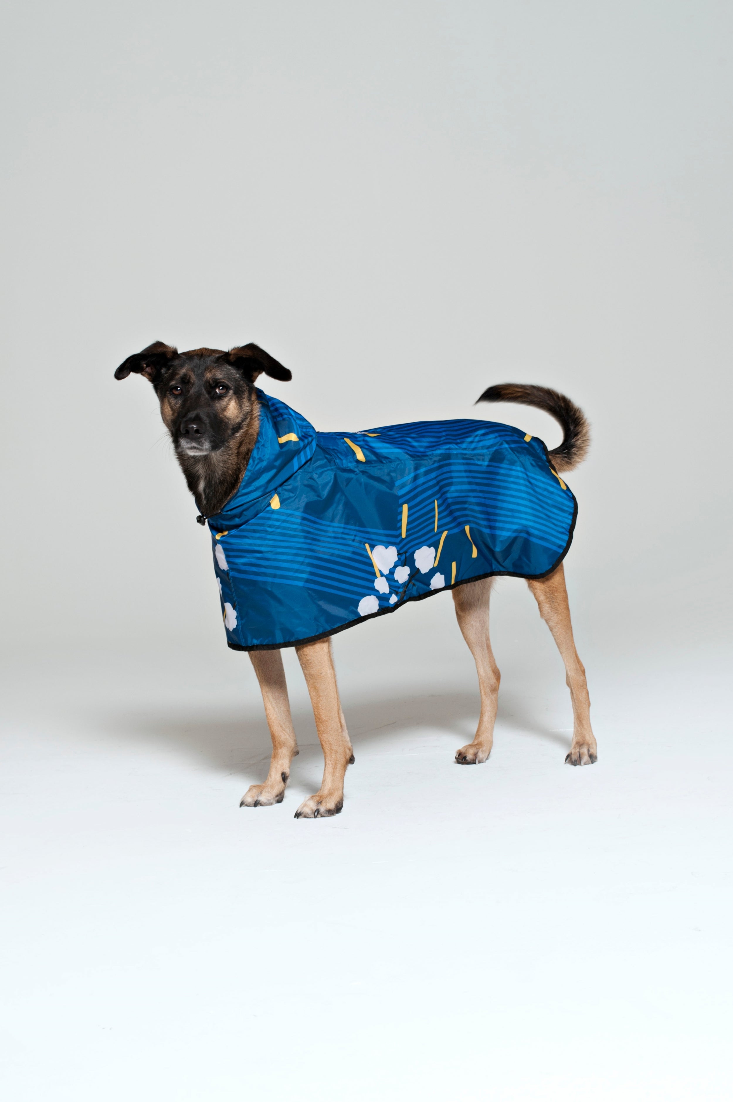 files/RAINKISS_ecommerce_DEC_202387.jpg